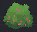 Azalea