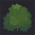 Privet