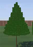 Topiary