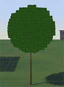 Topiary